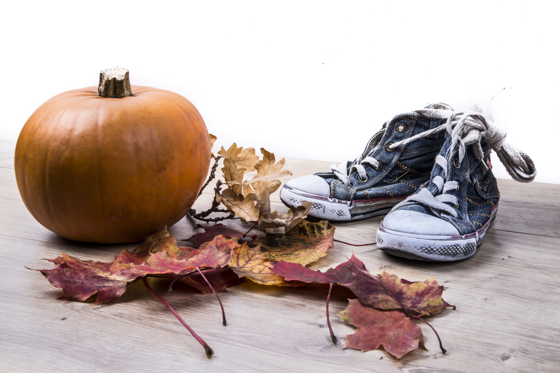 pumpkin and sneakers